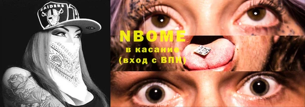 шишки Надым