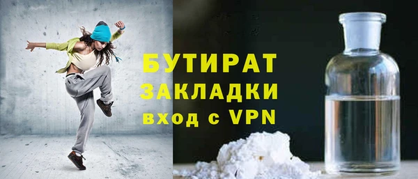 шишки Надым