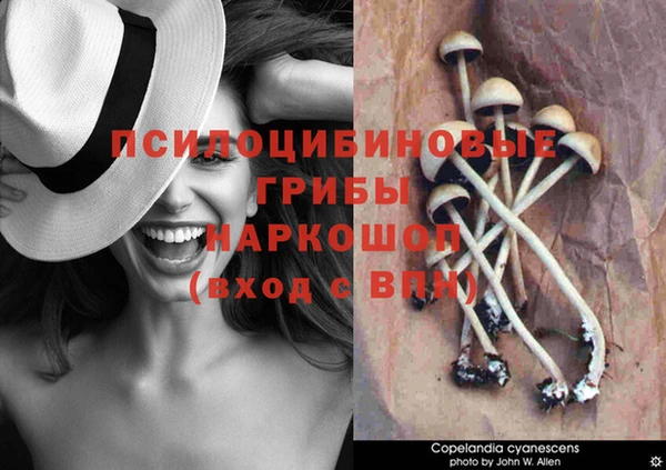 ешки Наволоки