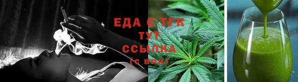 шишки Надым