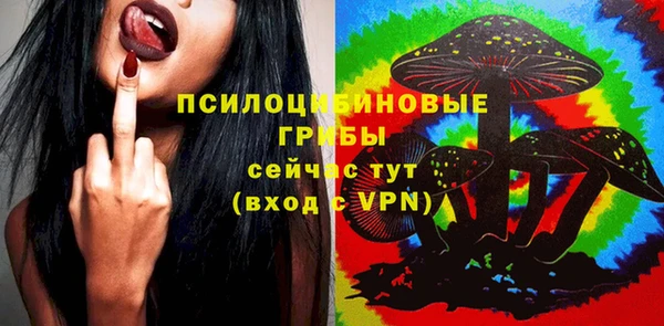 шишки Надым