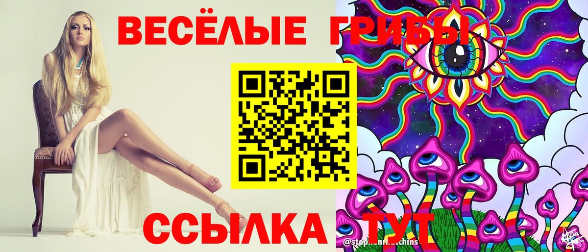 Марихуана  ГАШ  Альфа ПВП СОЛЬ кристаллы  Кодеин  Кетамин  Камень-на-Оби  Меф МЯУ МЯУ   КОКАИН  Как найти наркотики?  NBOMe 