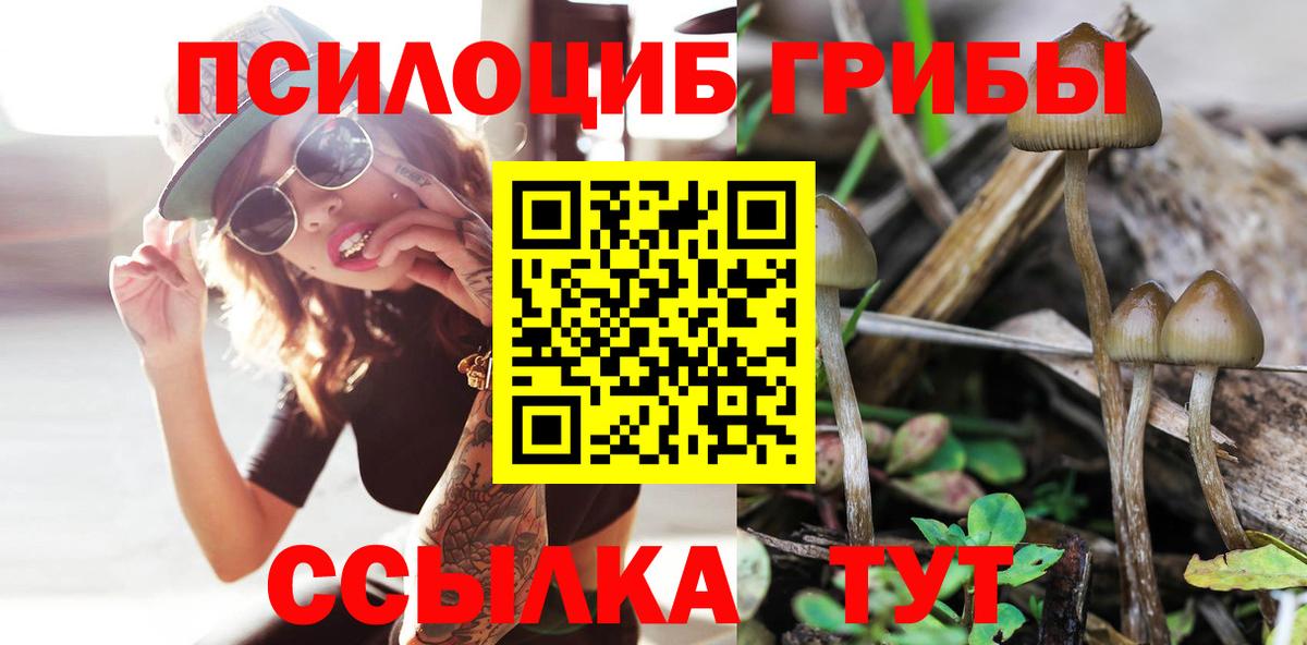 Меф мяу мяу Камень-на-Оби