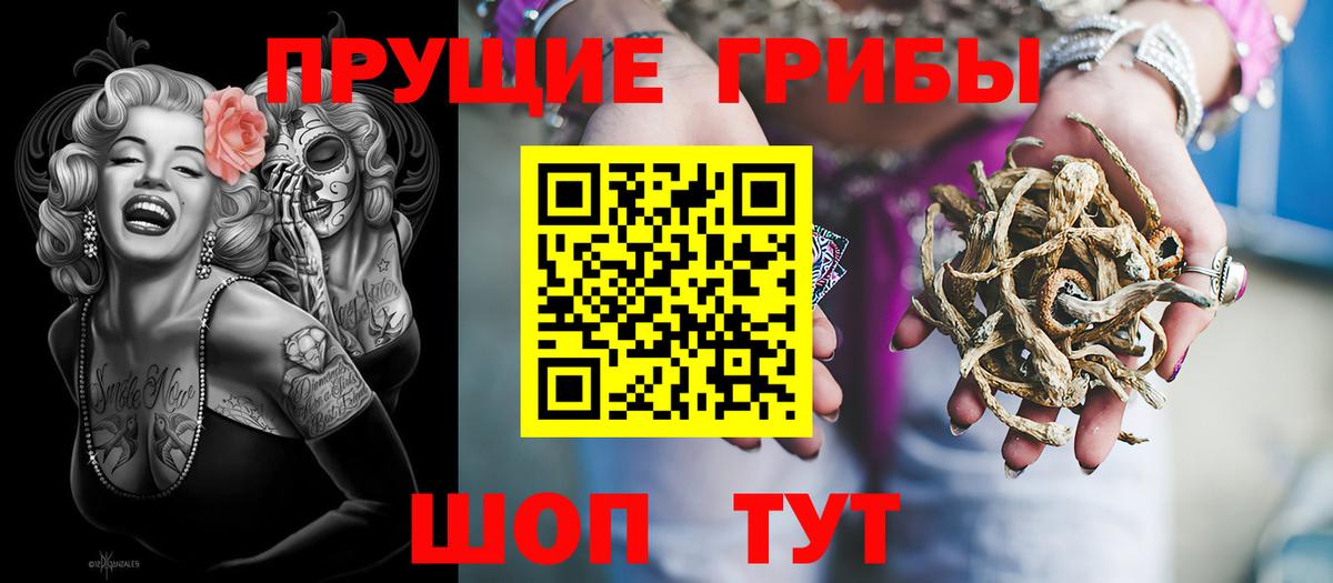 Галлюциногенные грибы мухоморы Камень-на-Оби