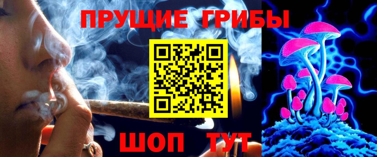 где купить   Вход с VPN  Камень-на-Оби  Псилоцибиновые грибы мицелий 