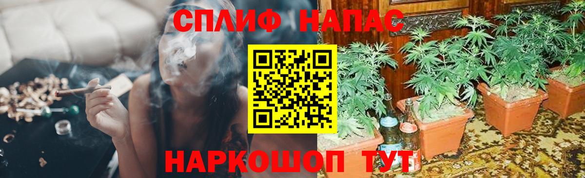 Шишки марихуана конопля  Бошки марихуана Ganja  Бошки марихуана планчик  Бошки марихуана ГИДРОПОН  Камень-на-Оби 